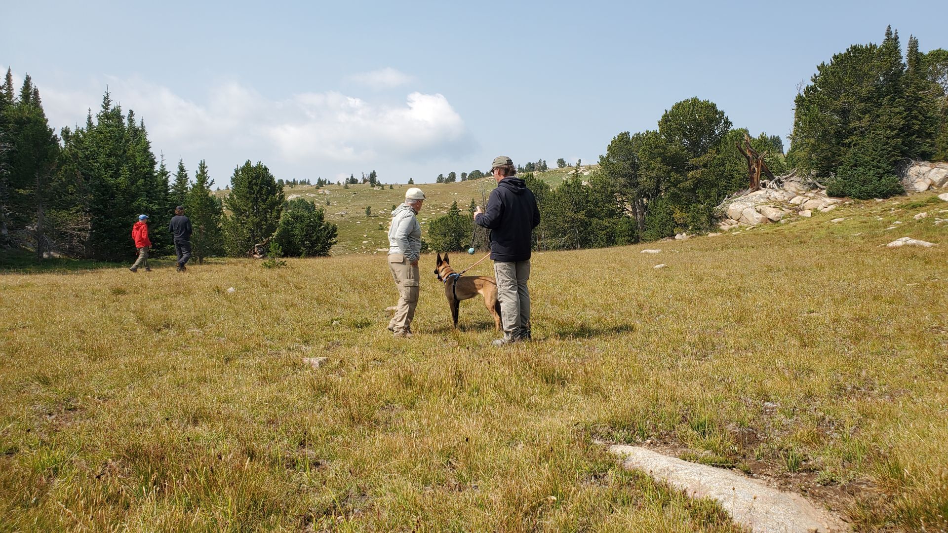 Absaroka Search Dogs